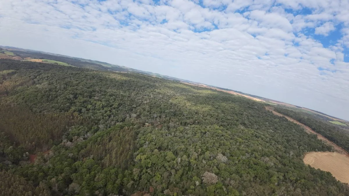 Fazenda à Venda, Zona Rural - Ibema