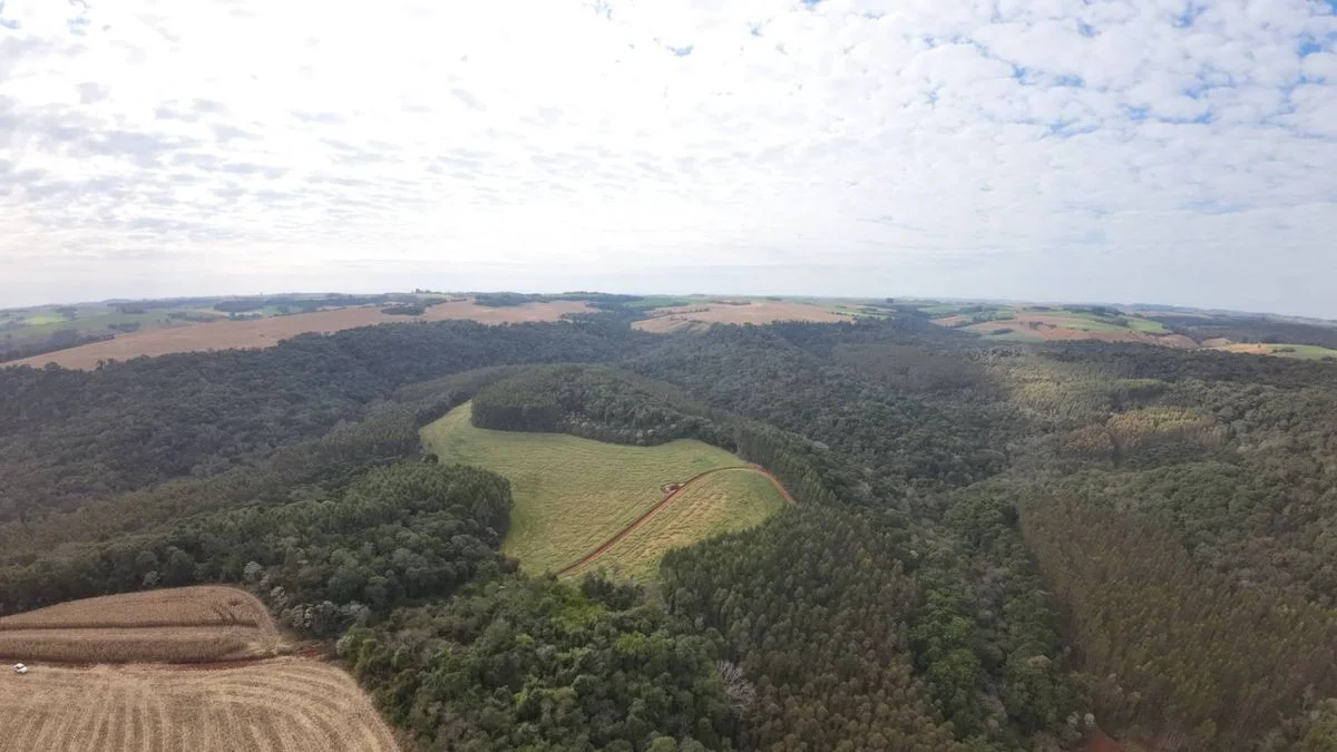 Fazenda à Venda, Zona Rural - Ibema