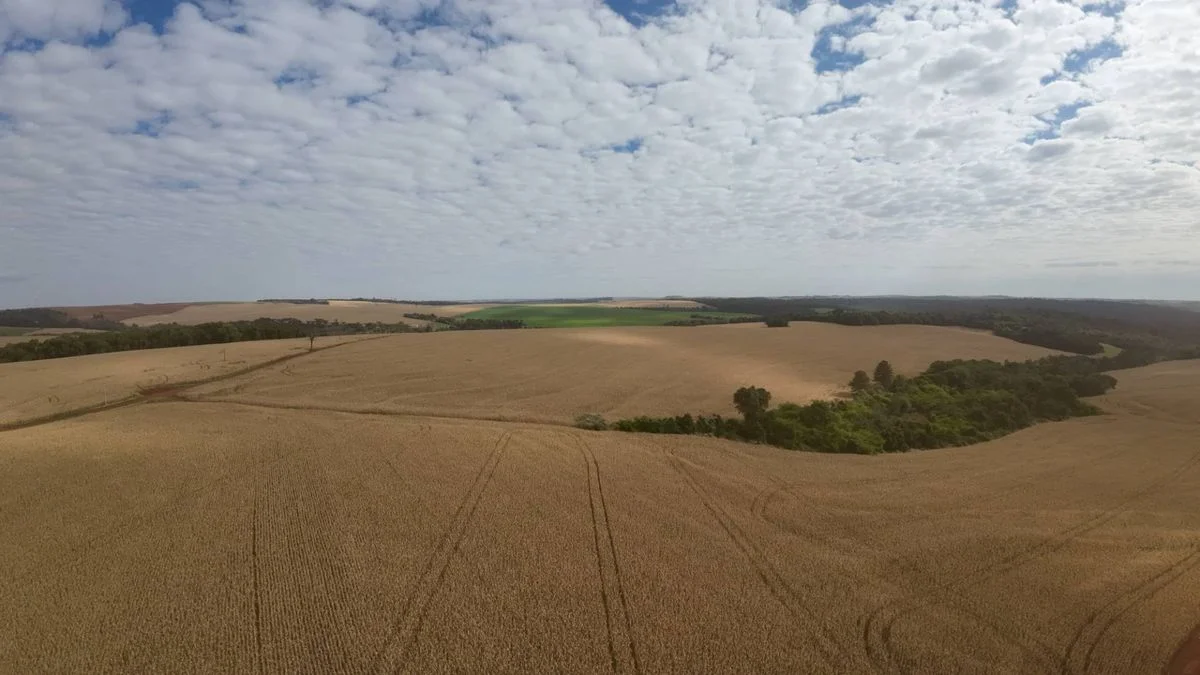 Fazenda à Venda, Zona Rural - Ibema