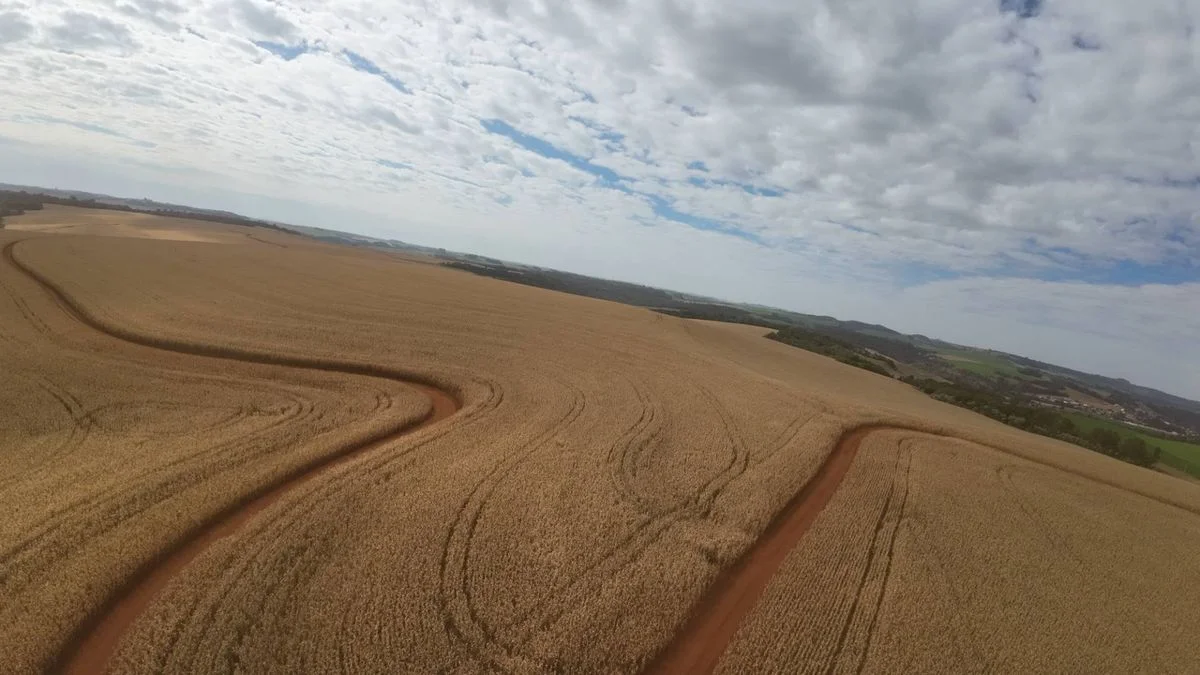 Fazenda à Venda, Zona Rural - Ibema