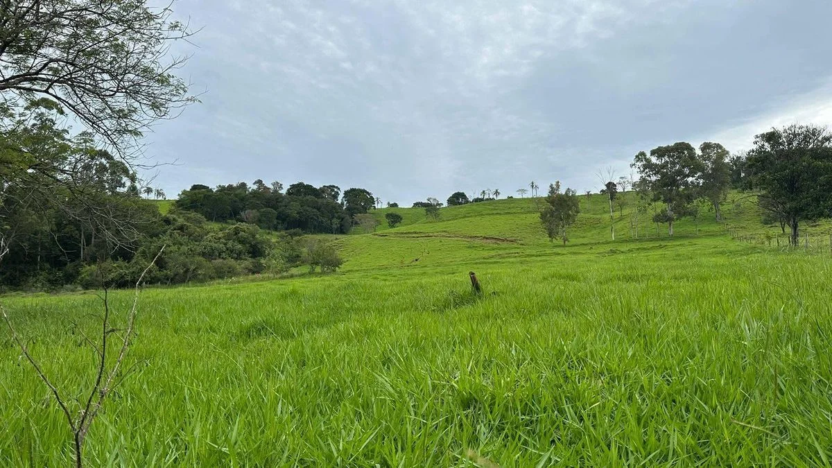 Sítio à Venda - Boa Vista da Aparecida