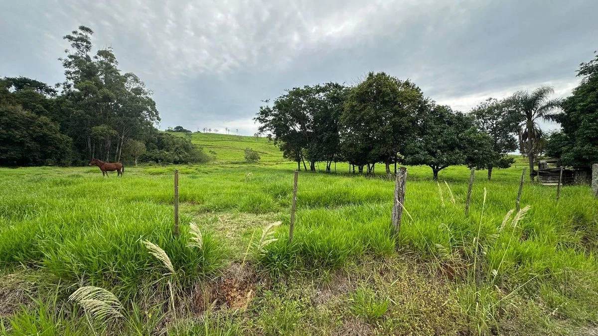 Sítio à Venda - Boa Vista da Aparecida