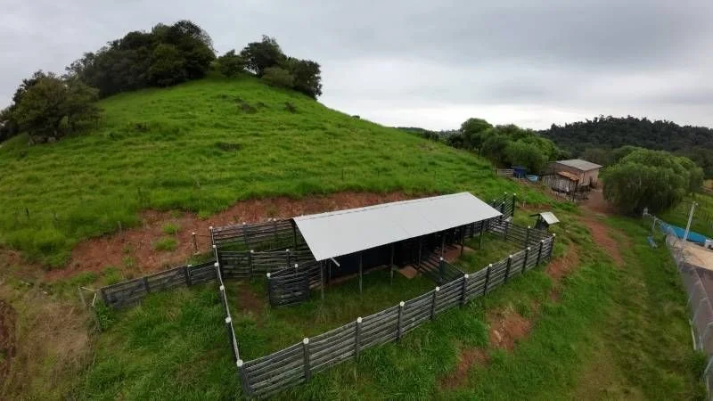 Sítio à Venda, Área Rural de Cascavel - Cascavel