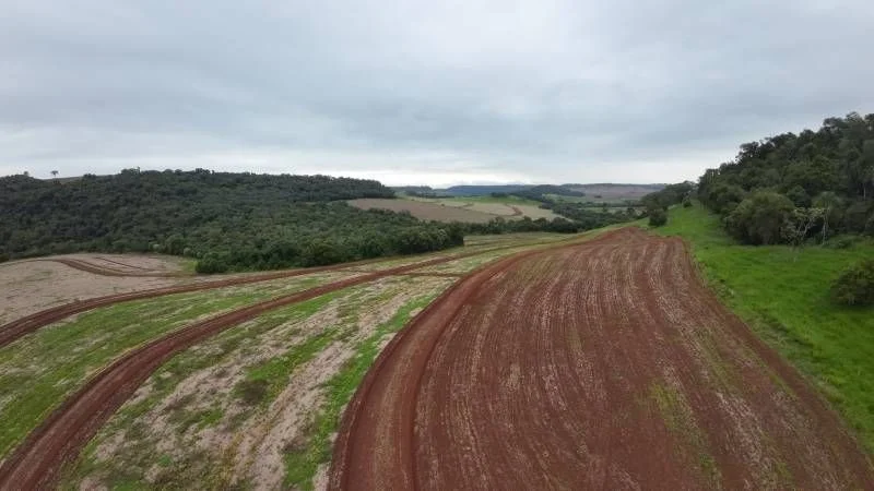 Sítio à Venda, Área Rural de Cascavel - Cascavel