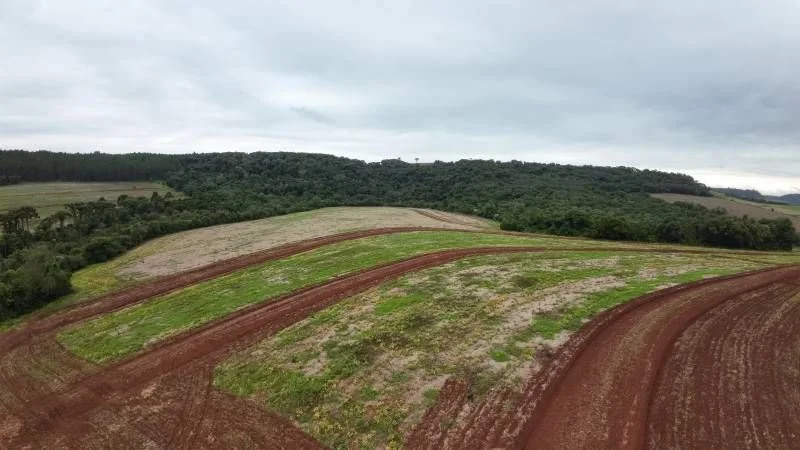 Sítio à Venda, Área Rural de Cascavel - Cascavel