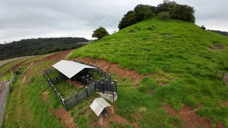 Sítio à Venda, Área Rural de Cascavel - Cascavel