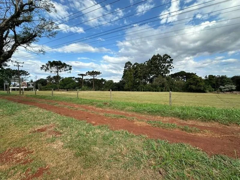Industrial à Venda, Área Rural de Cascavel - Cascavel