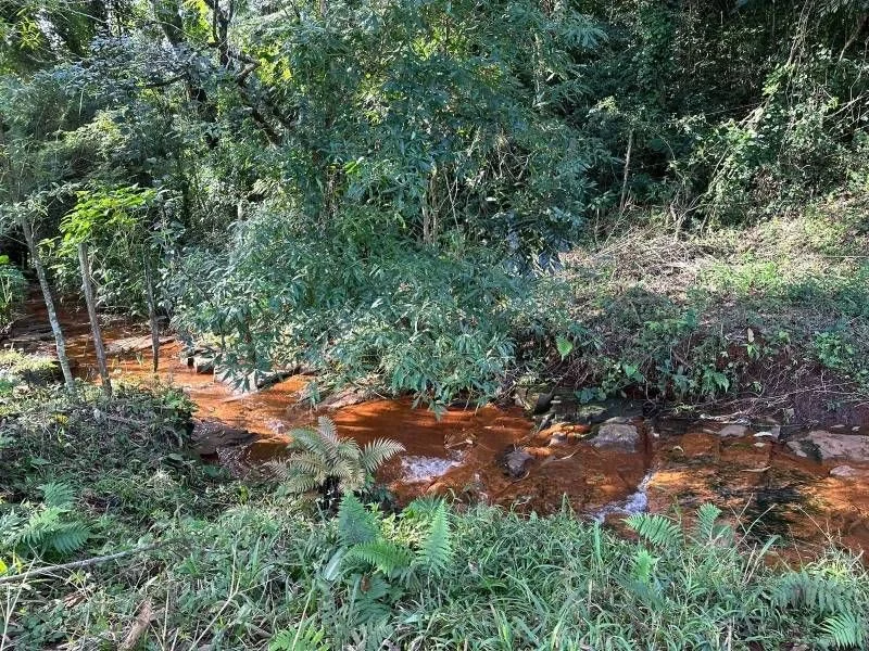 Chácara à Venda, Área Rural de Cascavel - Cascavel