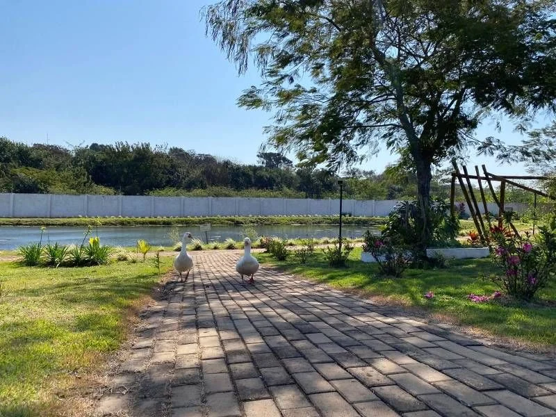 Terrenos em Condomínio à Venda, Universitário - Cascavel