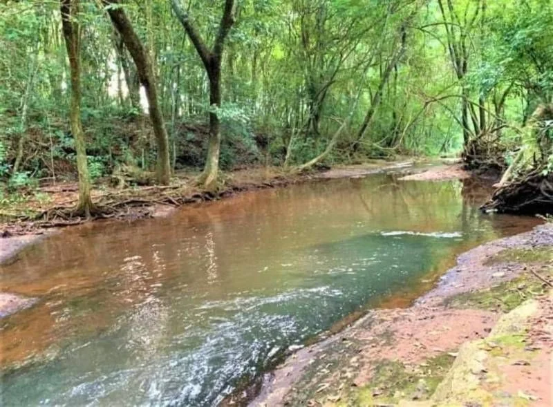 Sítio à Venda - Lindoeste