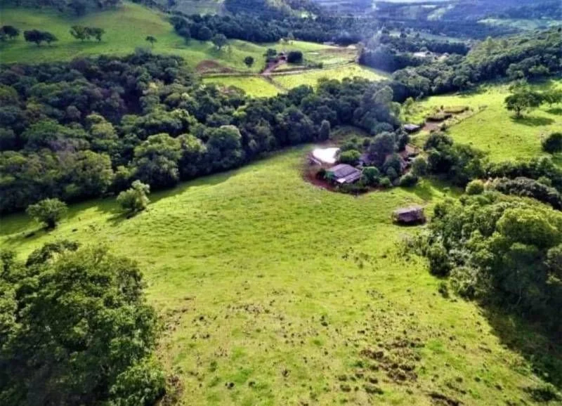 Sítio à Venda - Lindoeste