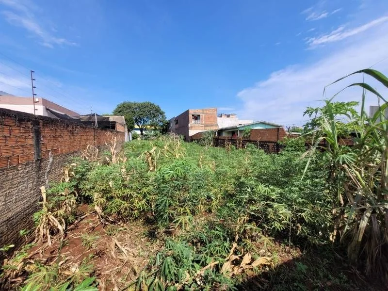 Comercial à Venda, Santa Cruz - Cascavel