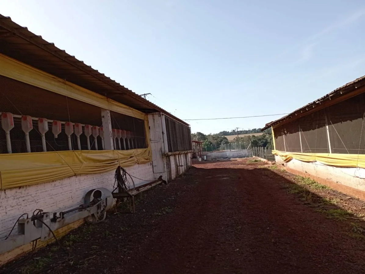 Sítio à Venda - Toledo