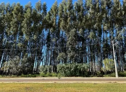 Residencial à Venda, Recanto Tropical - Cascavel