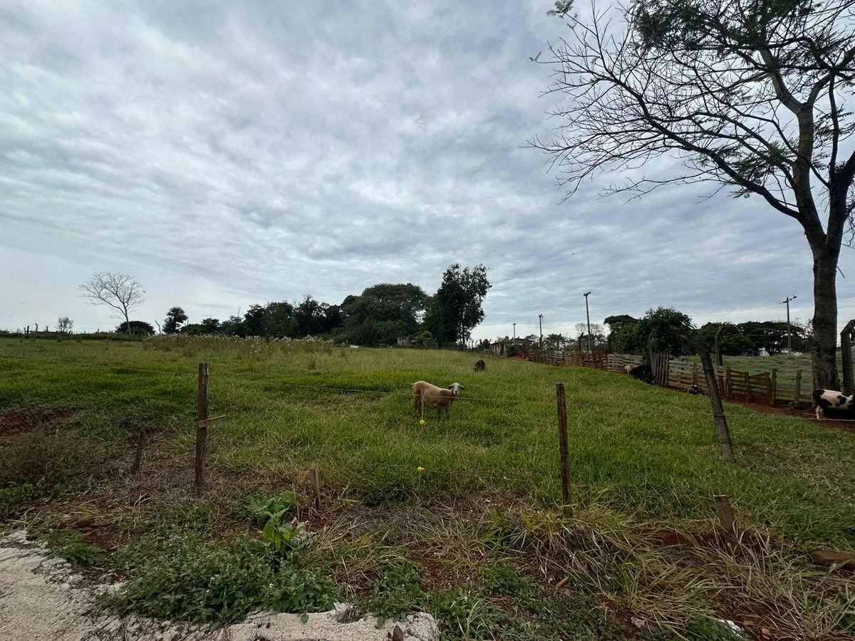Comercial à Venda, Santa Felicidade - Cascavel