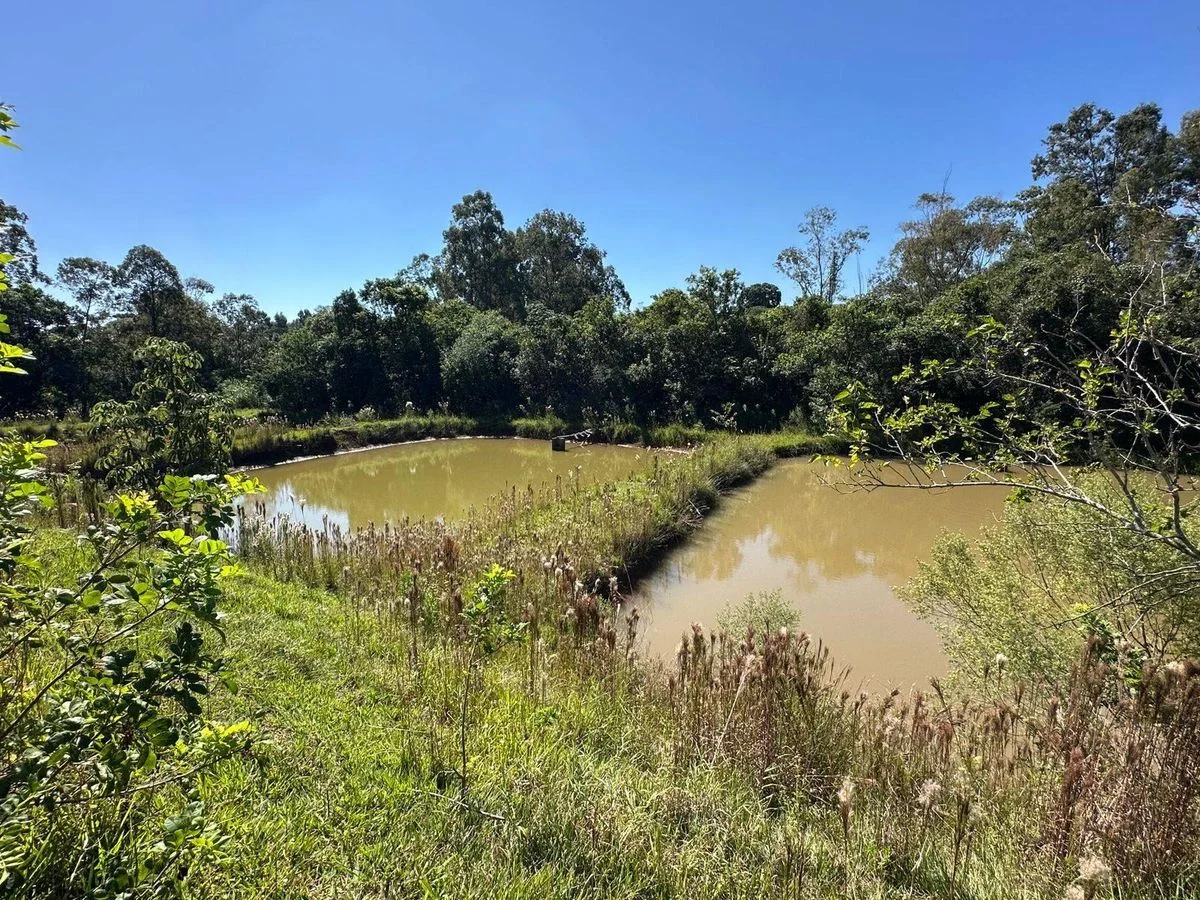 Chácara à Venda - Cascavel