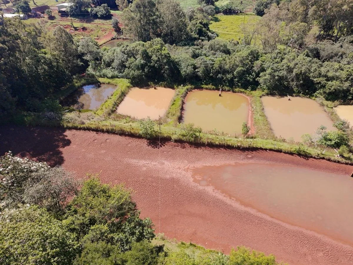 Chácara à Venda - Cascavel