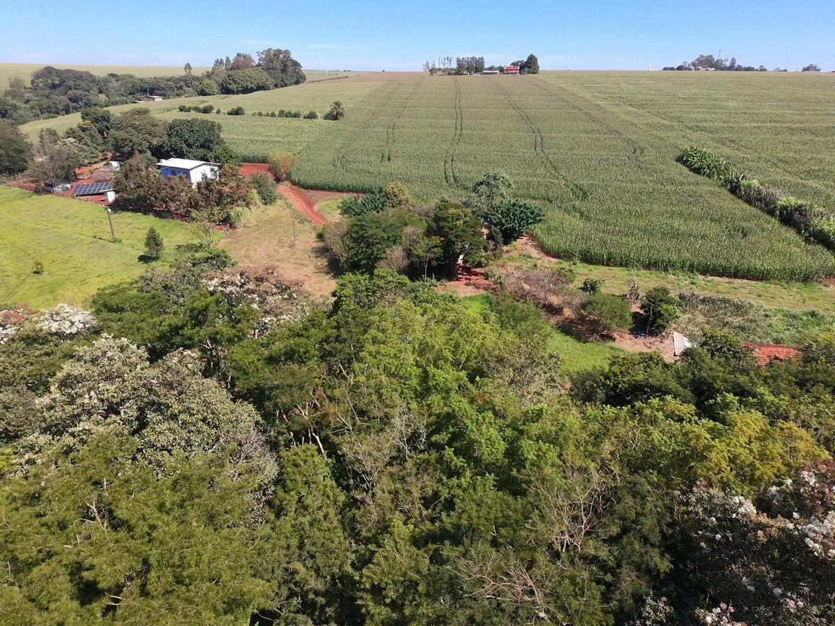 Chácara à Venda - Cascavel
