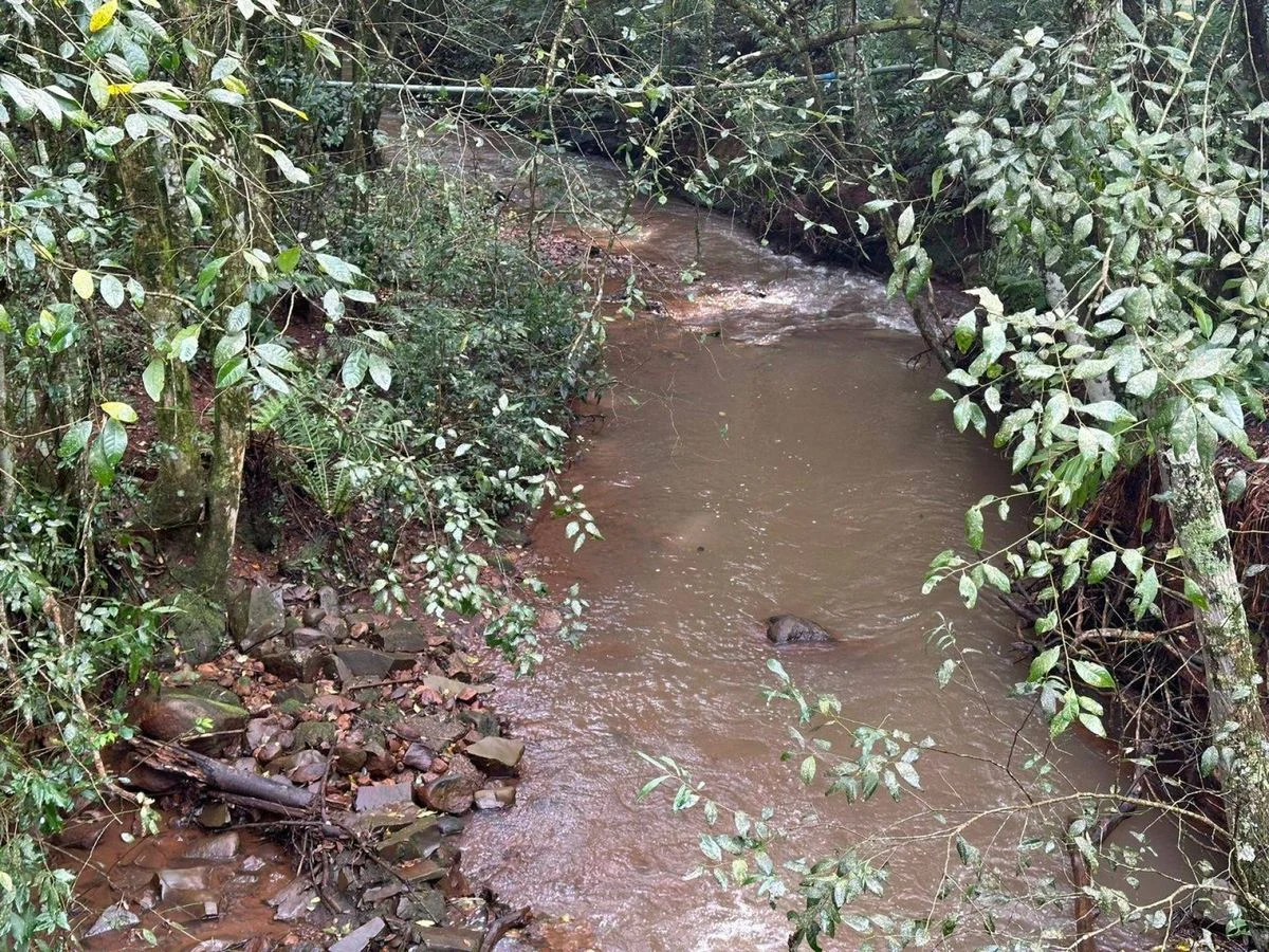 Sítio à Venda, Santa Cruz - Cascavel