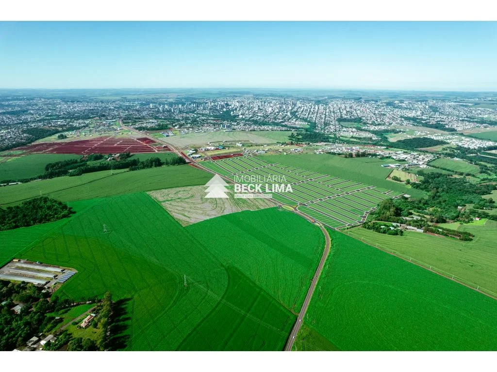 Lançamento - Terrenos à Venda - Lot. Alta Vista - Av. Barão do Rio Branco