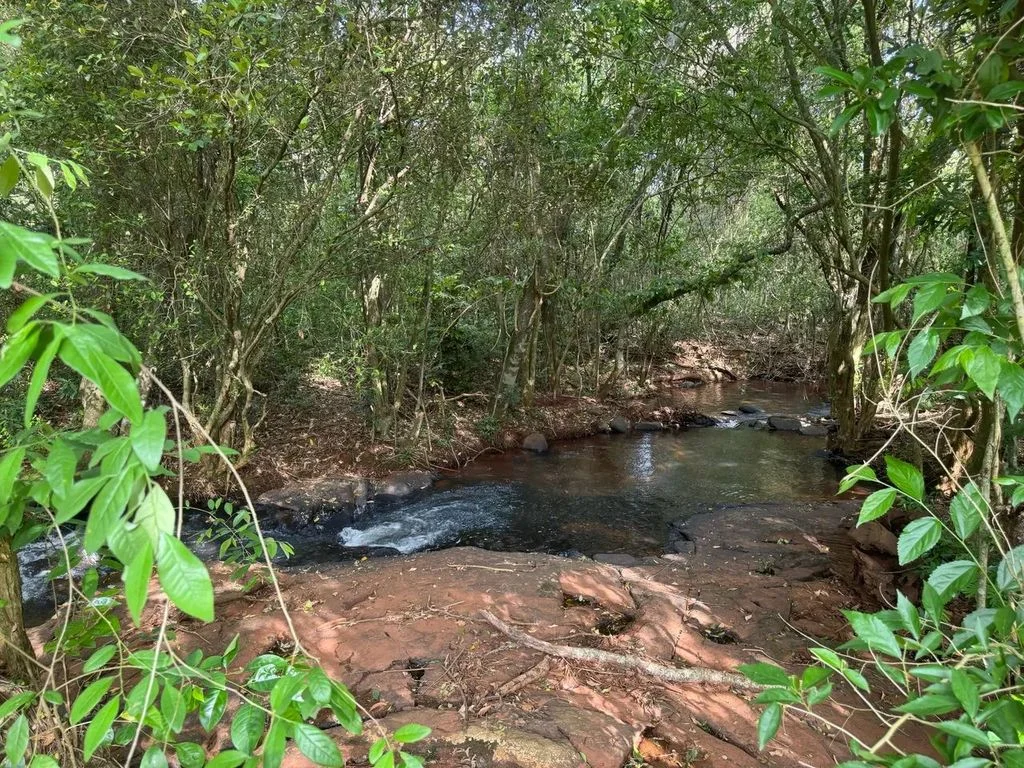 Área 10.000 m² à Venda – Sem Benfeitorias – Sentido Distrito de Rio do Salto