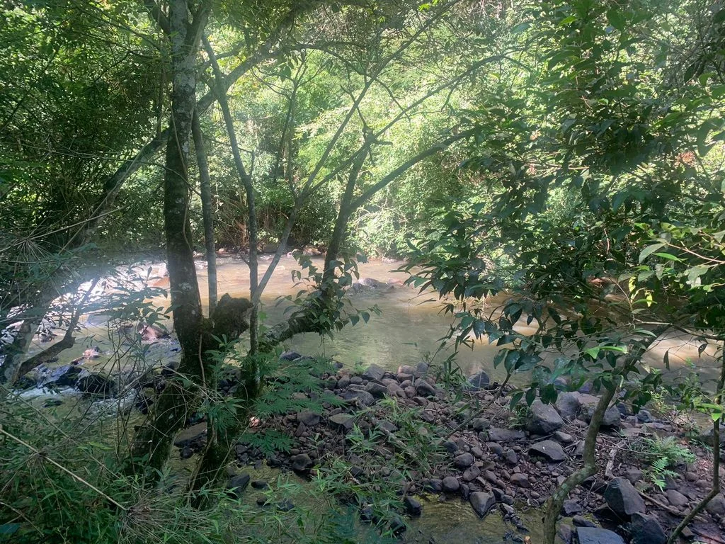 Área 10.000 m² à Venda – Sem Benfeitorias – Sentido Distrito de Rio do Salto