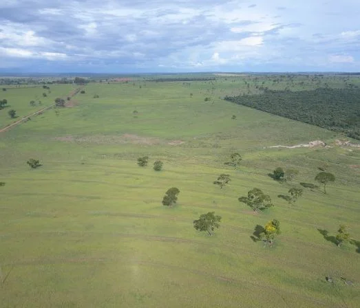 Fazenda à Venda – Região de Iguatemi MS – 480 Alqueires