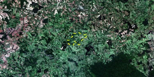 FAZENDA À VENDA | 521 Alqueires - Guaraniaçu PR