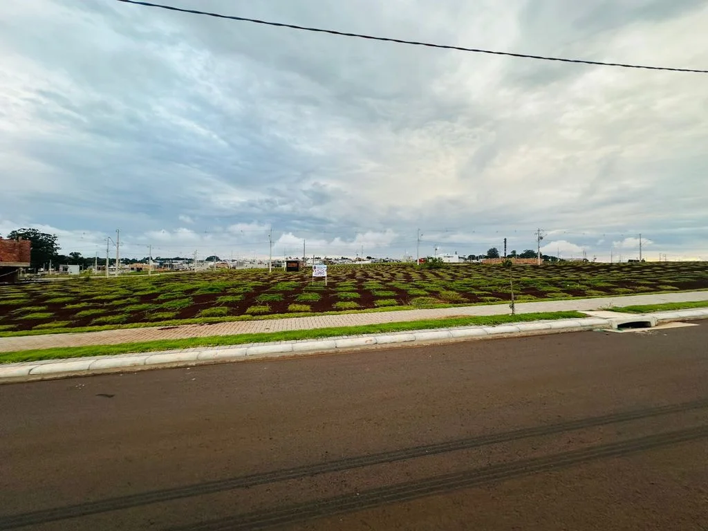 Terrenos à Venda - Loteamento Bella Vita Fase 2 - Av Barão do Rio Branco/PR 486